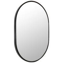 Black Peyton Oval Stainless Steel Wall Mirror